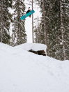 Rome Service Dog Snowboard
