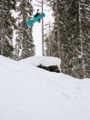 Rome Service Dog Snowboard