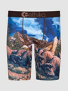 Ethika Bison Boxershorts