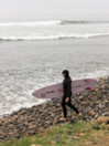 Roxy 2.0 Swell Hood W/ Dickie Hood