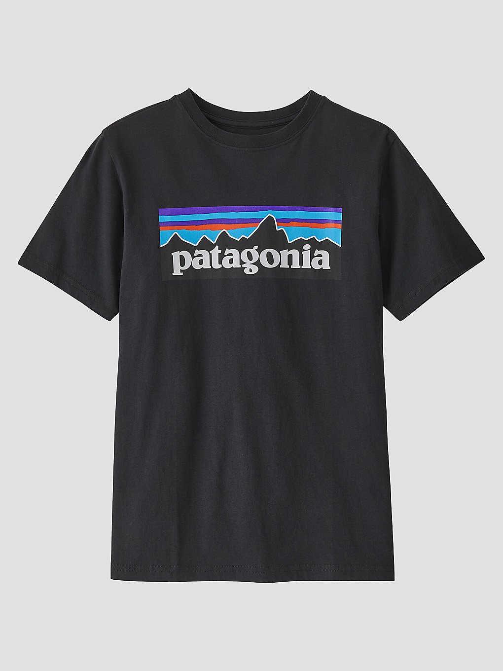Patagonia Regenerative Organic Certified Cotton P- T-Shirt ink black kaufen