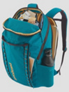 Patagonia Black Hole 32L Backpack