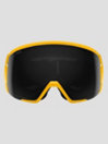 Smith Proxy Gold Bar Goggle
