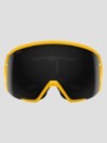 Smith Proxy Gold Bar Goggle