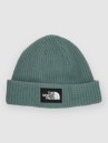 THE NORTH FACE Salty Dog Lined Mössa