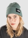 THE NORTH FACE Salty Dog Lined Beanie