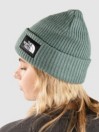 THE NORTH FACE Salty Dog Lined Beanie