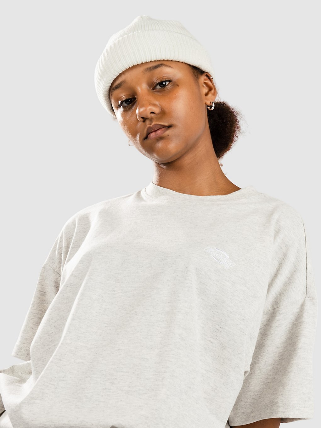 Dickies Summerdale T-Shirt light gray kaufen