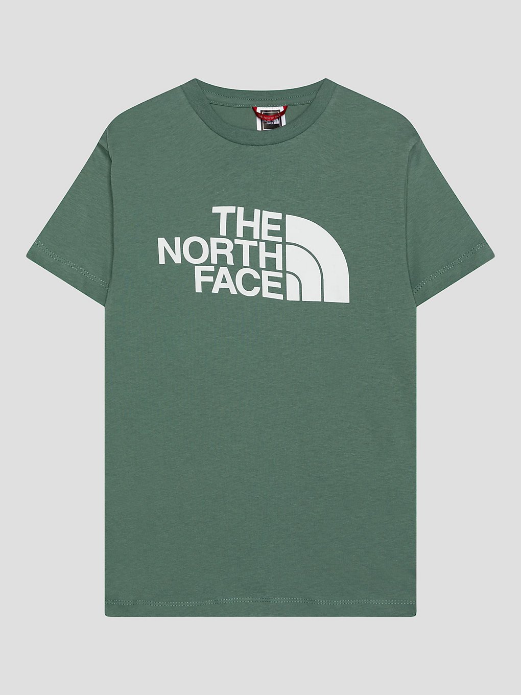 THE NORTH FACE Easy T-Shirt dark sage kaufen