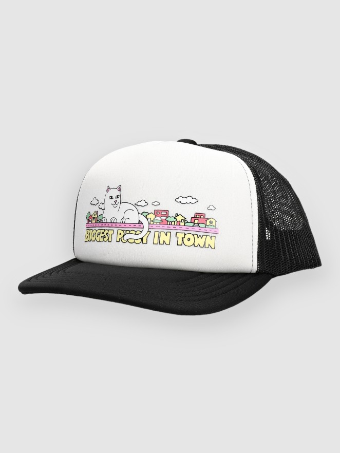 RIPNDIP My Neighborhood Trucker Kšiltovka