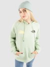 THE NORTH FACE Brand Proud Giacca in Pile
