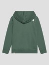 THE NORTH FACE Teens Box P/O Felpa con Cappuccio