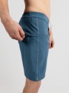 Vans The Daily Solid Boardshorts