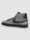Nike Zoom Blazer Mid Skatesko