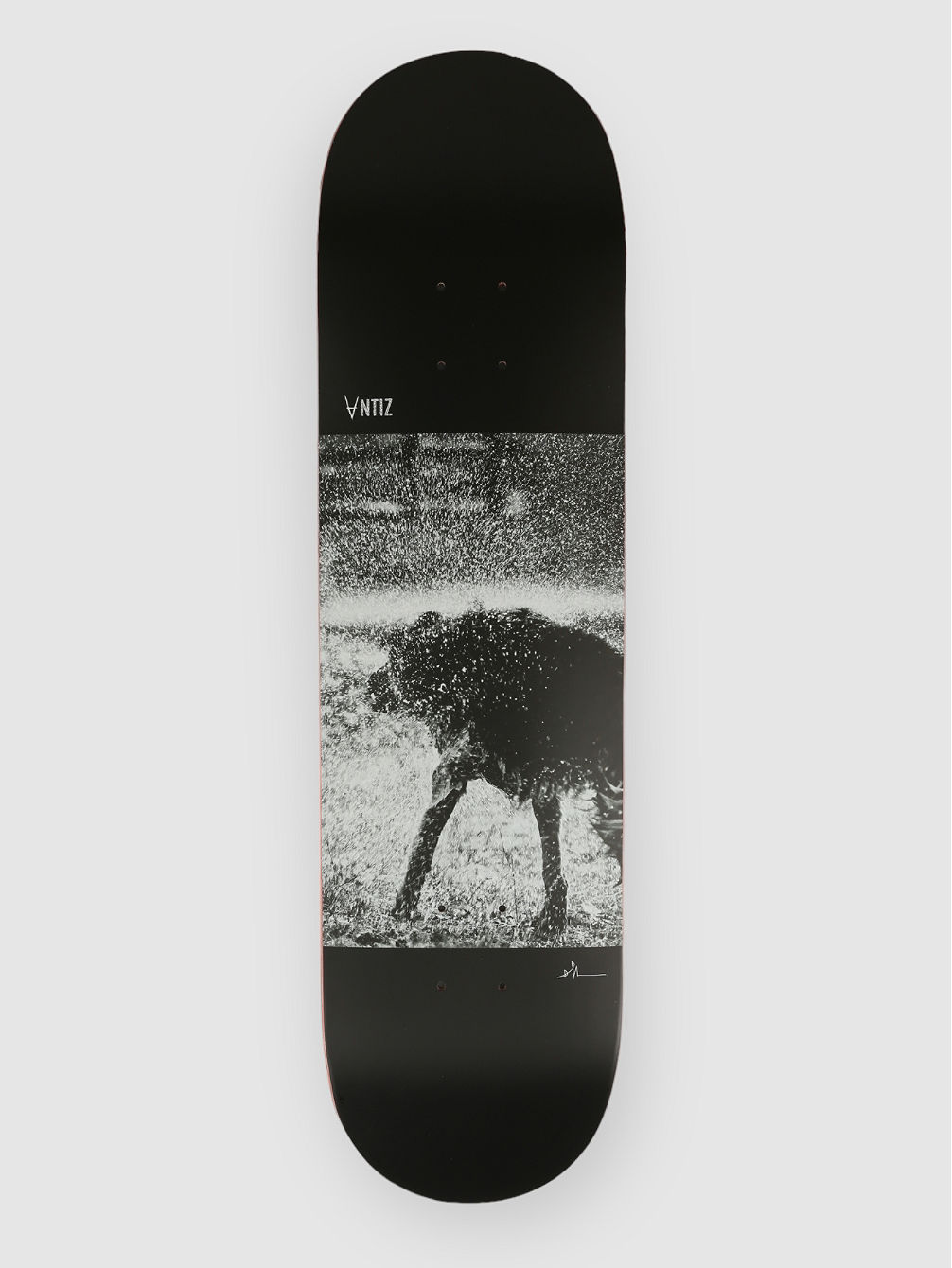 Dog 8.375&amp;#034; Skateboard deska
