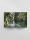 Waves and Woods Volume #32 Magazine