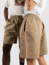 Nike SB Skyring Shorts
