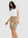 Nike SB Skyring Shorts