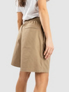 Nike SB Skyring Shorts