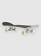 Insecta 7.75&amp;#034; Skateboard Completo