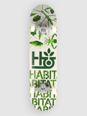 Insecta 7.75&amp;#034; Skateboard complet