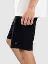 Billabong Crossfire Solid Short