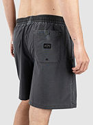 Wasted Times Ovd Lb Boardshort