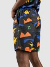 Volcom Fa Arthur Longo Ew 18 Shorts