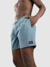 Rip Curl Daily Volley Boardshorts