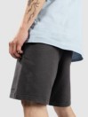 Element Cornell 3.0 Shorts