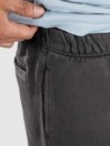 Element Cornell 3.0 Shorts