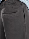 Element Cornell 3.0 Shorts