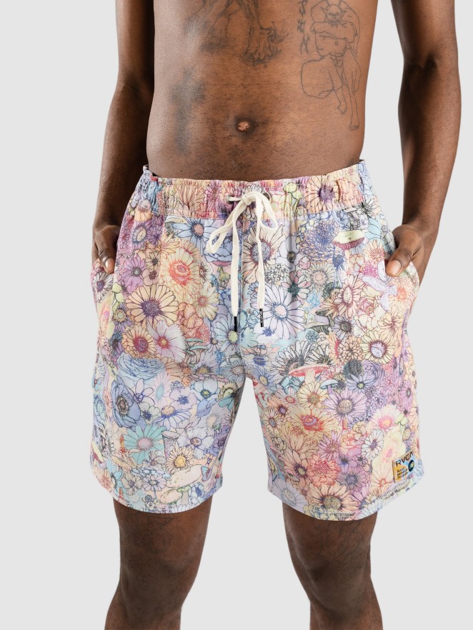 RVCA Sage Elastic Hemp Boardshorts