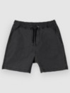 Quiksilver Taxer Shortsit