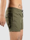 Quiksilver Everyday Deluxe Volley 15 Boardshorts