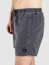 Quiksilver Everyday Surfwash Volley 15 Boardshorts