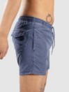 Quiksilver Everyday Surfwash Volley 15 Boardshorts