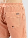 Quiksilver Everyday Surfwash Volley 15 Boardshorts