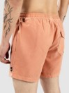 Quiksilver Everyday Surfwash Volley 15 Boardshorts