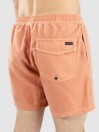 Quiksilver Everyday Surfwash Volley 15 Boardshorts