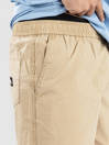 Quiksilver Taxer Pantaloncini