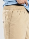 Quiksilver Taxer Shorts