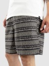 Quiksilver Taxer Shorts