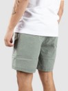 Quiksilver Taxer Shorts