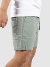 Quiksilver Taxer Shorts