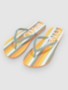 orange multistripe