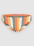 orange multistripe