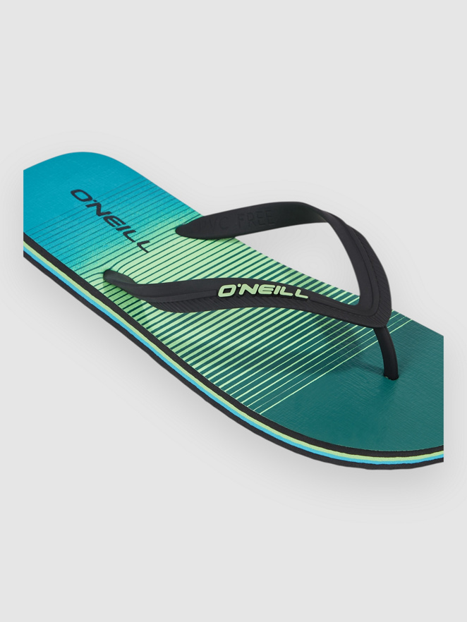 O'Neill Profile Graphic Sandales