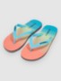 living coral simple gradi