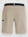 O'Neill Trvlr Shorts